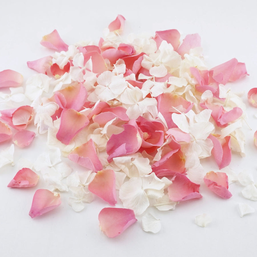  homeemoh Biodegradable Wedding Flower Petals Confetti 20 Pack,  Real Rose Petals Dried Flowers Confetti Natural Flower Petal Toss for  Wedding Decoration : Home & Kitchen