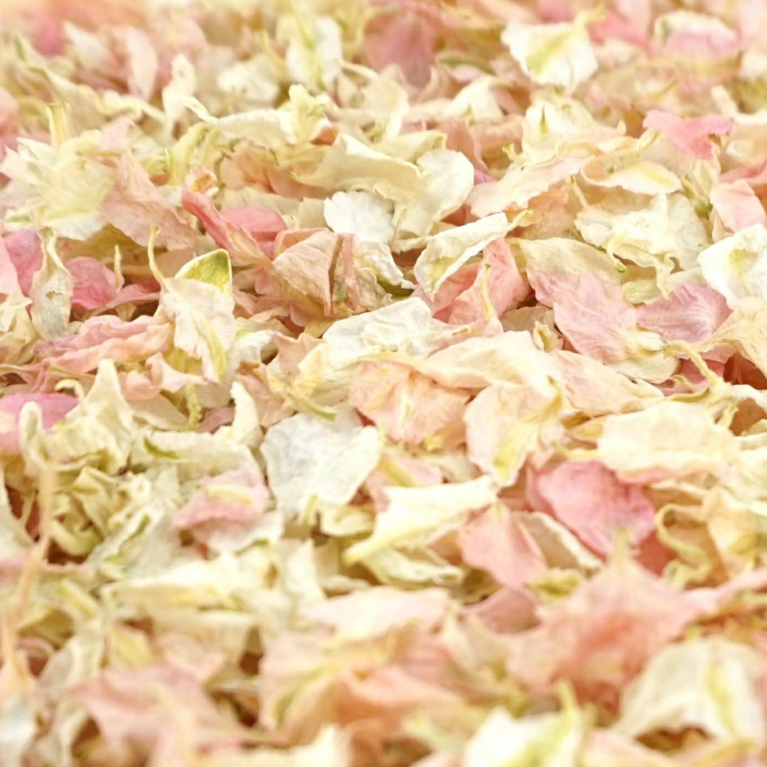 Larkspur Dried Petal Wedding Confetti Biodegradable Candy Vanilla