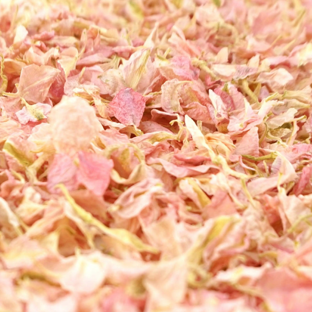 Larkspur Dried Petal Wedding Confetti Biodegradable Candy