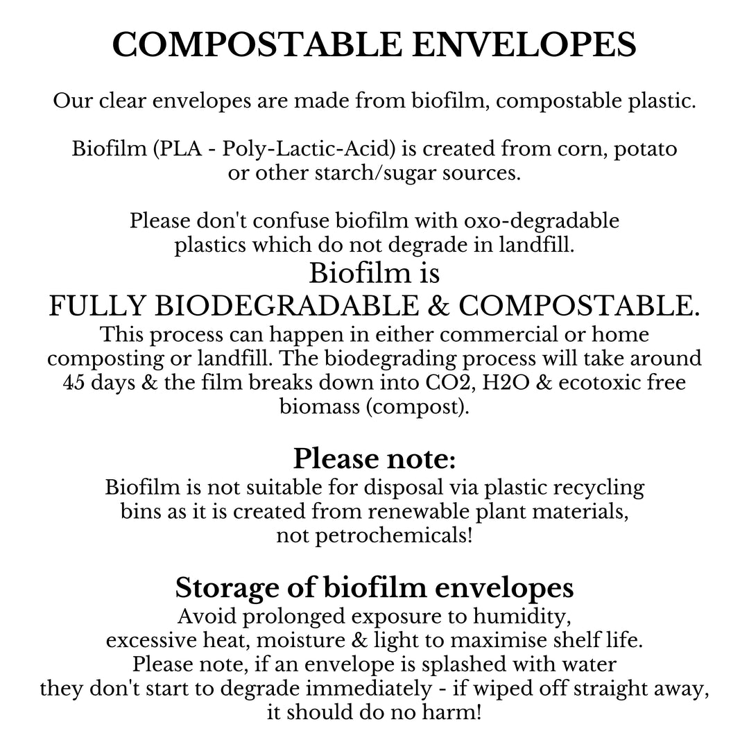 Clear Envelopes 10 x 14cm Biofilm Biodegradable Compostable
