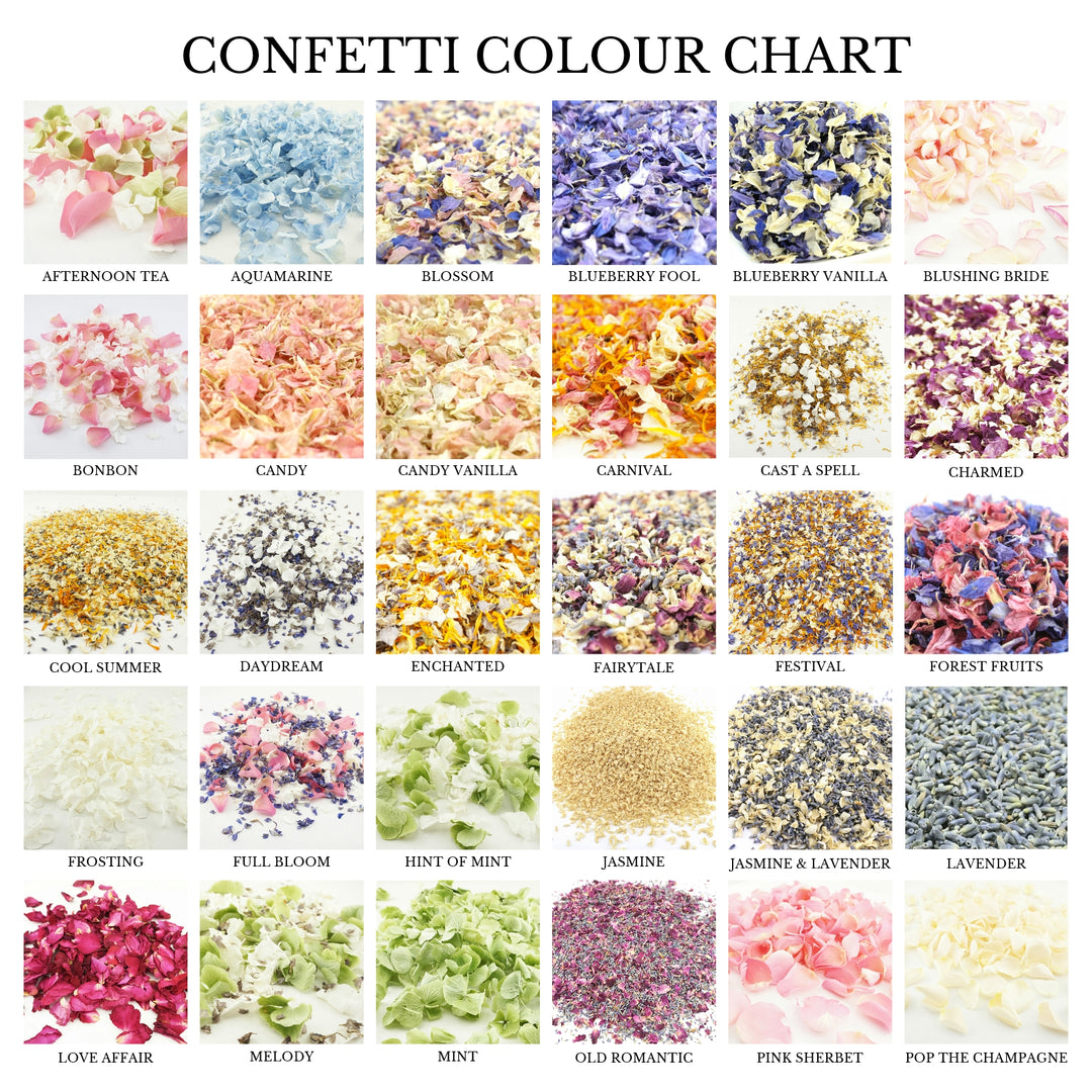 Bundle - Confetti Cone Tray with 24 Printed Cones & Confetti Petals