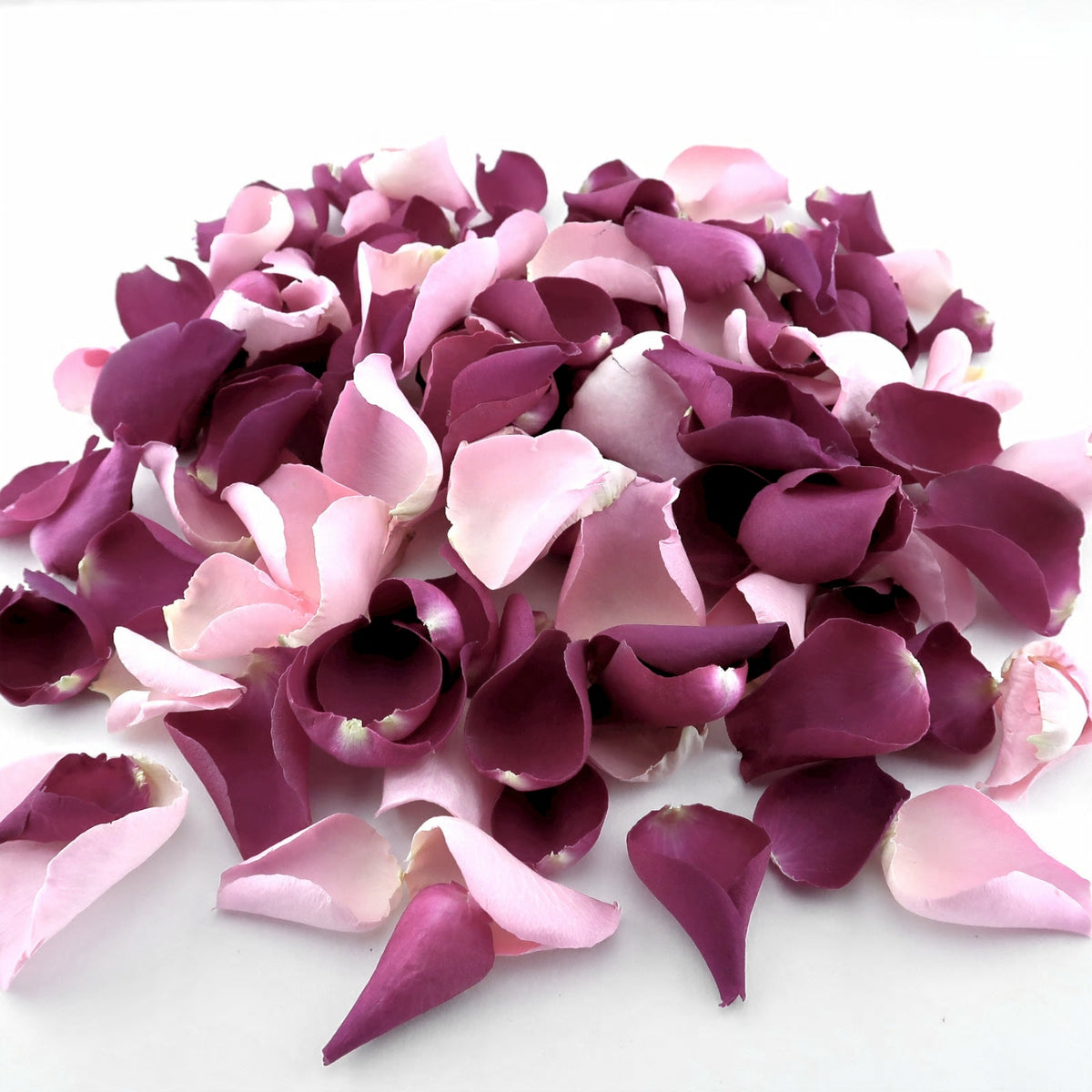 Eternal - Freeze-dried rose petals - wedding confetti petals - biodegradable confetti - natural confetti - real flower petals - The Dried Petal Company