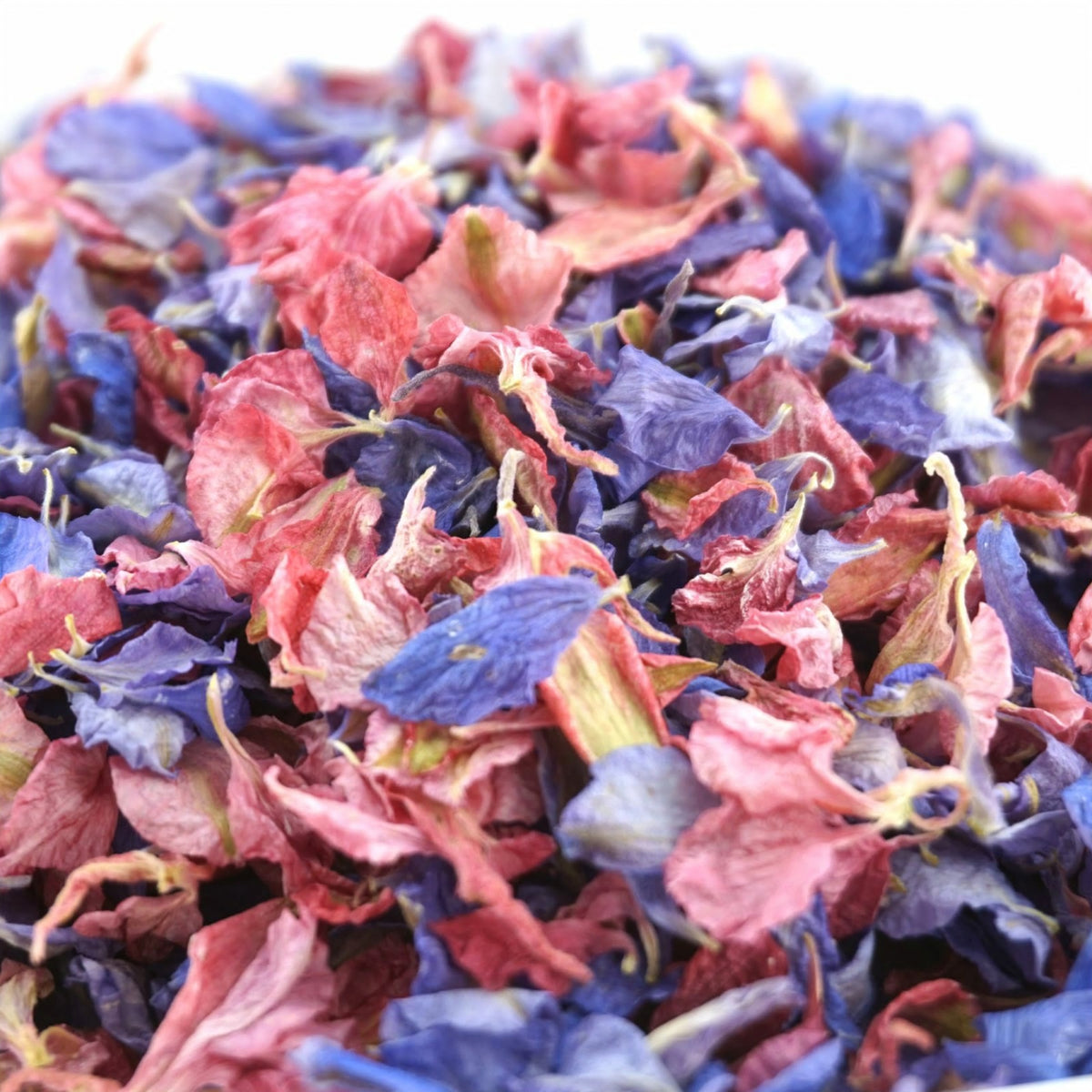 Forest Fruits - Dried Petal Wedding Confetti - larkspur petals - british grown - natural confetti - biodegradable confetti - flower confetti - The Dried Petal Company
