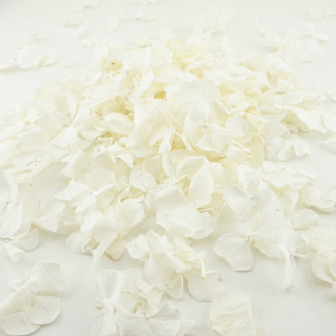 Frosting Freeze Dried Hydrangea Petal Confetti Biodegradable Confetti