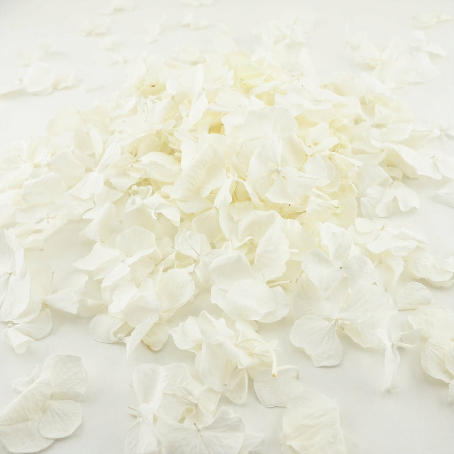 1 Litre Flower Confetti  Biodegradable Confetti – Flaurae Confetti