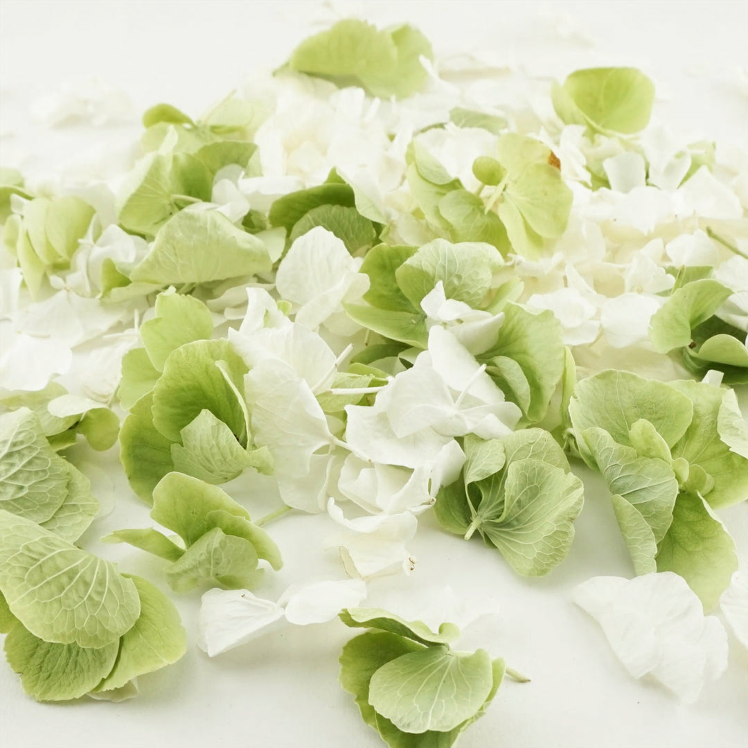 Hint of Mint Freeze Dried Hydrangea Petal Confetti Mix Biodegradable Confetti