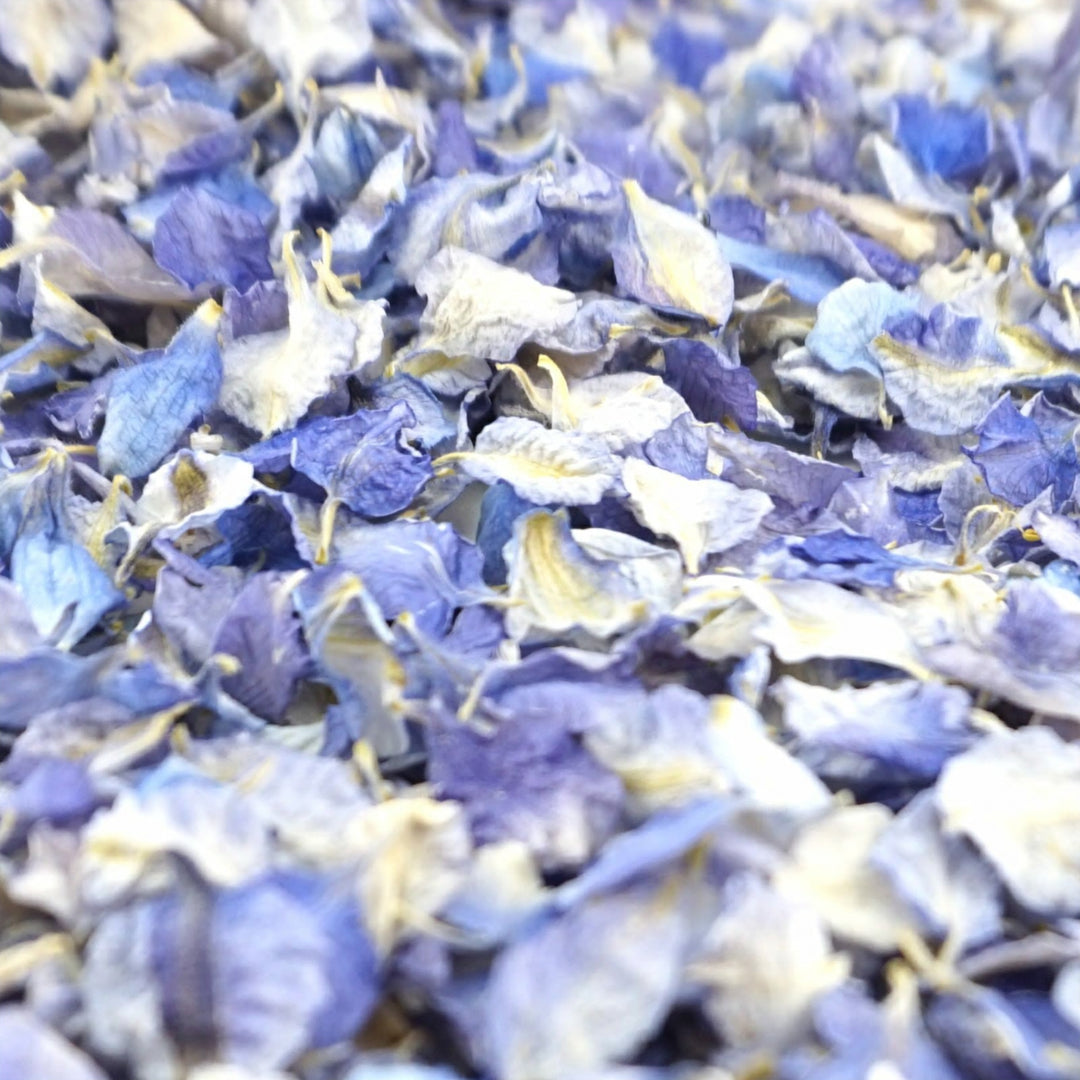 Larkspur Dried Petal Wedding Confetti Biodegradable Iced Blue