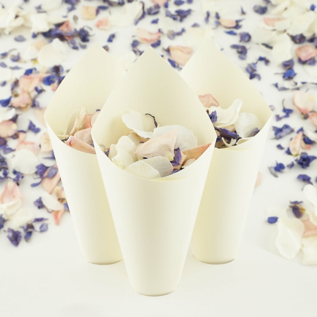 Handcrafted Ivory Silk Wedding Confetti Cones