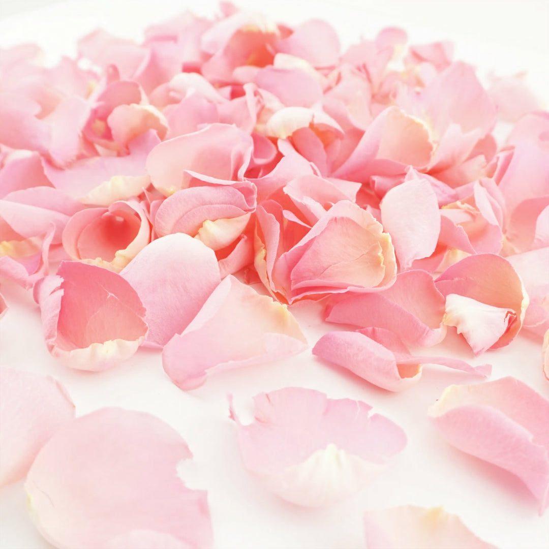 Pink Sherbet Freeze Dried Rose Petals Biodegradable Confetti