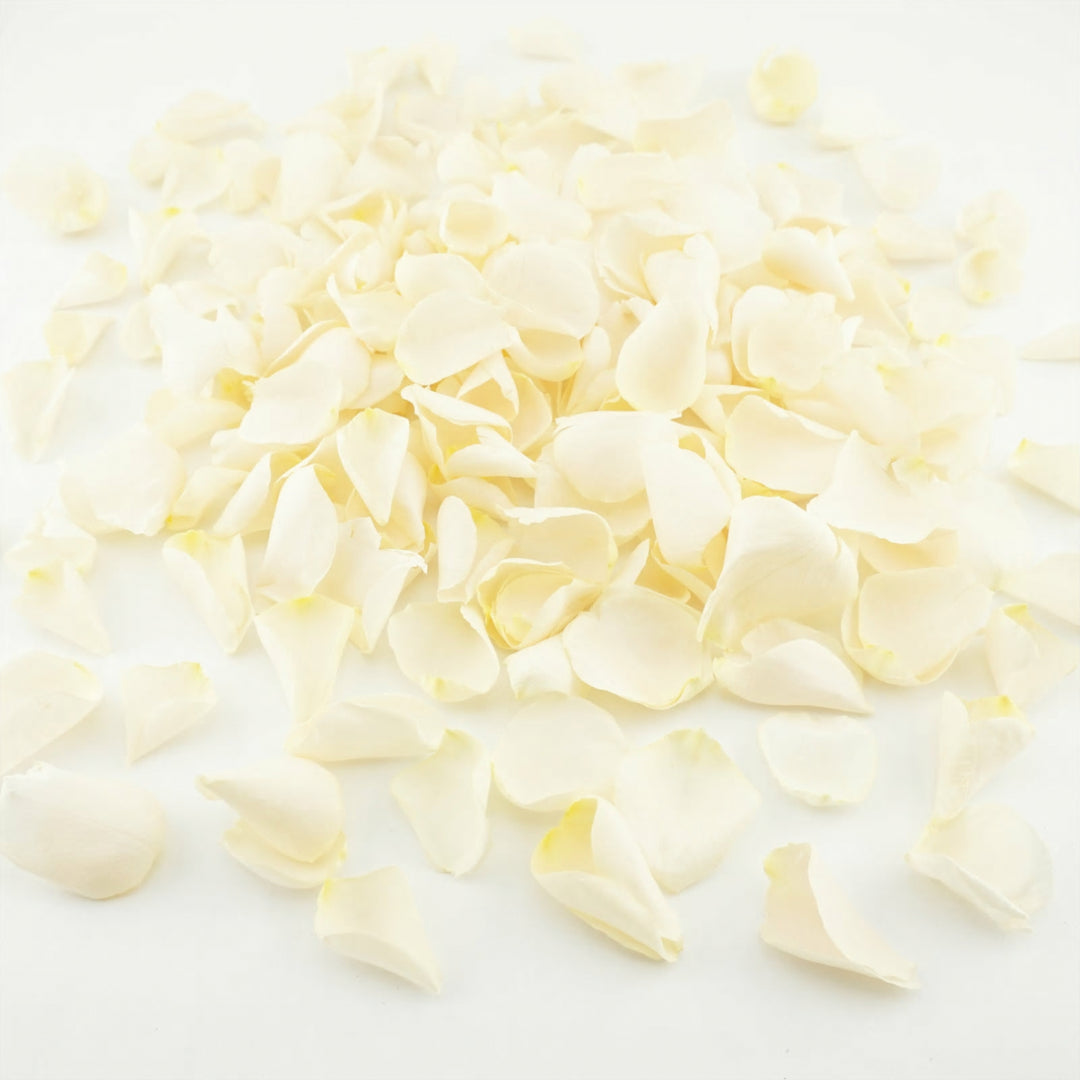 Assorted Flower Petals - Preserved Freeze dried Real Flower Petals. Wedding  Petals. Flower Confetti