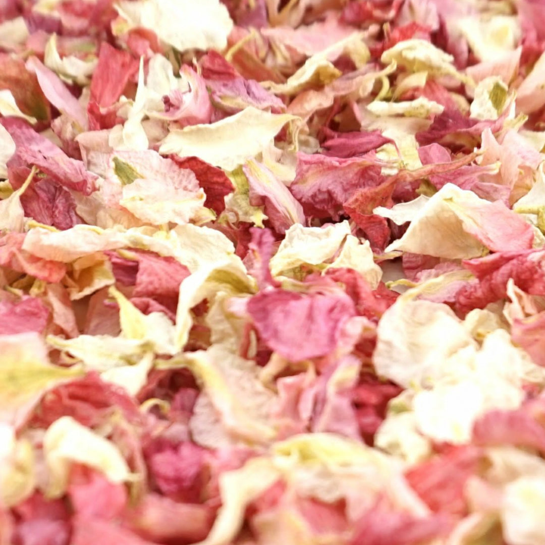 Larkspur Dried Petal Wedding Confetti Biodegradable Raspberry Vanilla
