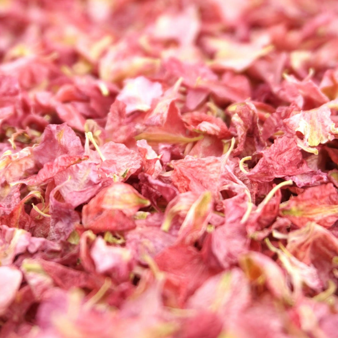 Larkspur Dried Petal Wedding Confetti Biodegradable Raspberry