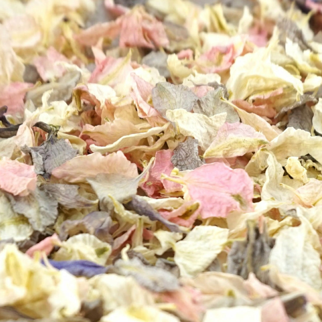Larkspur Dried Petal Wedding Confetti Biodegradable Rustic
