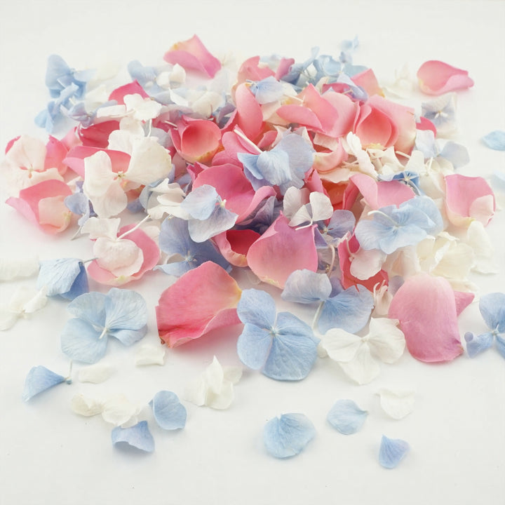 Summer Fete Dried Petal Confetti Mix Biodegradable Confetti