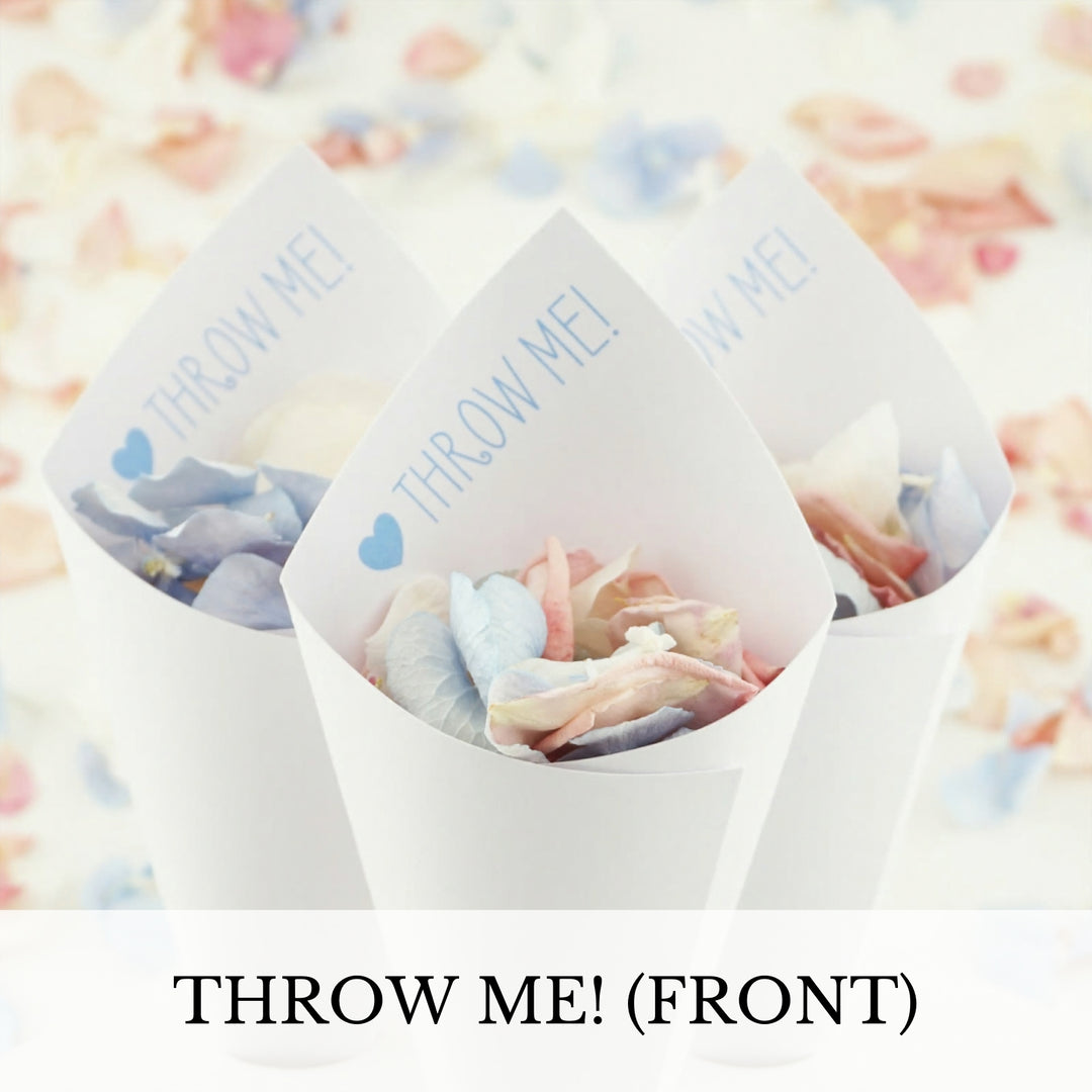 Bundle - Confetti Cone Tray with 24 Printed Cones (no confetti)