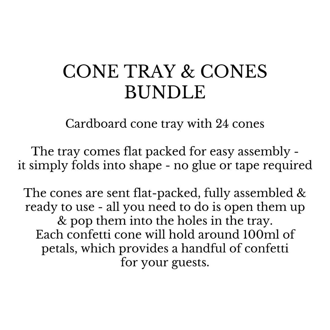 Bundle - Confetti Cone Tray with 24 Printed Cones (no confetti)