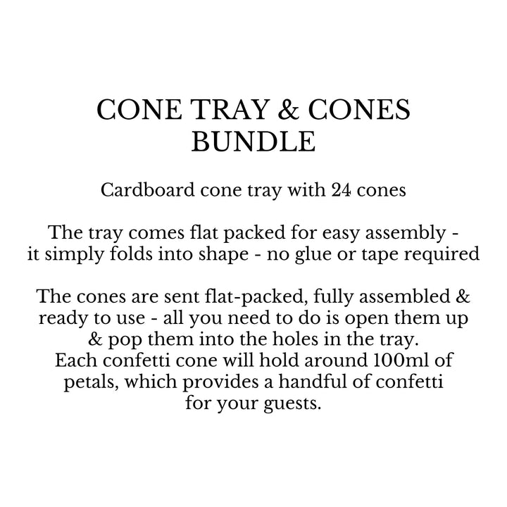 Bundle - Confetti Cone Tray with 24 Cones (no confetti)