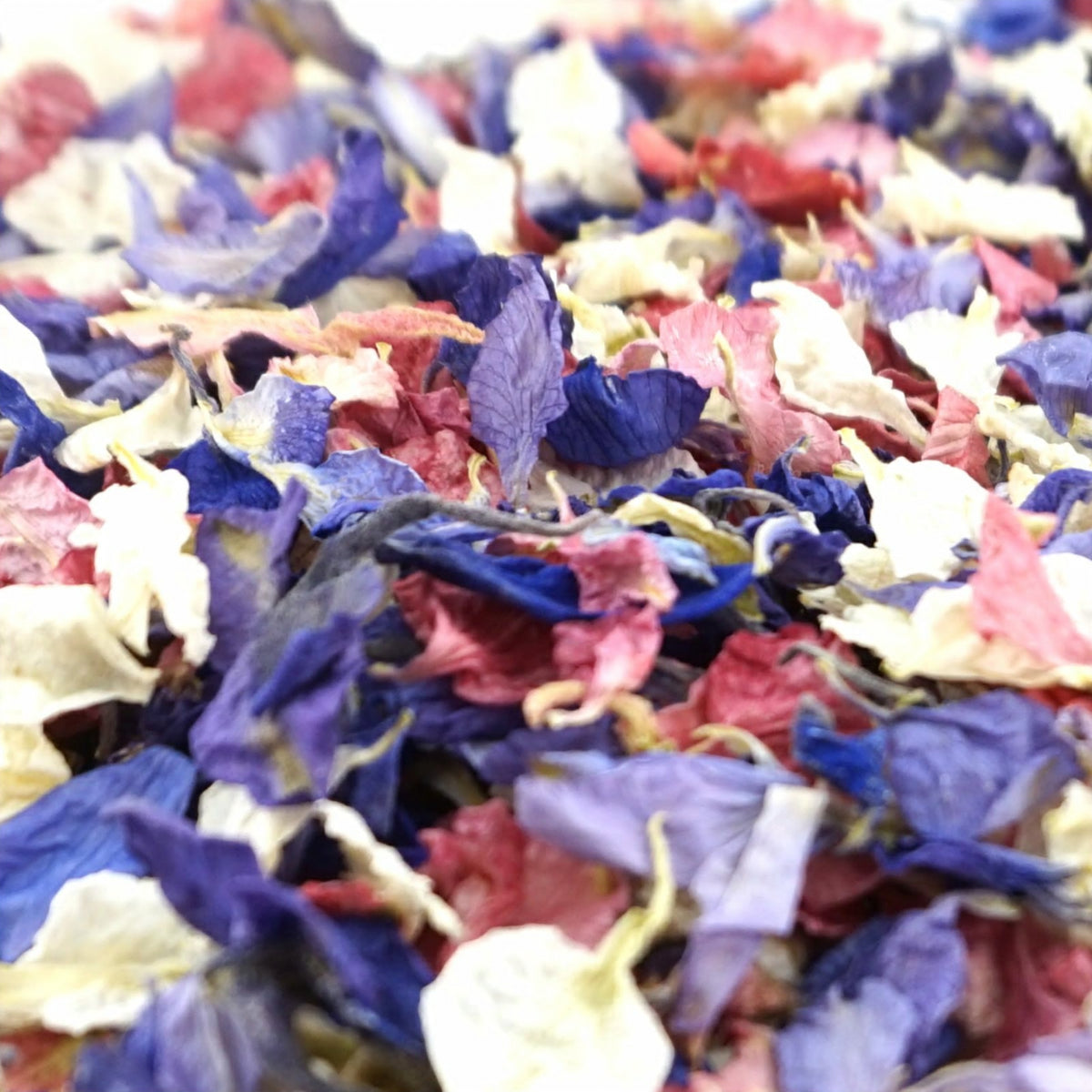 Very Berry - Dried Petal Wedding Confetti - larkspur petals - british grown - natural confetti - biodegradable confetti - flower confetti - The Dried Petal Company