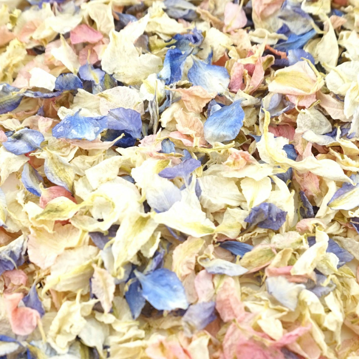 Vintage - Dried Petal Wedding Confetti - larkspur petals - british grown - natural confetti - biodegradable confetti - flower confetti - The Dried Petal Company