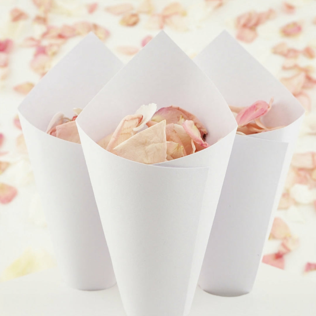 Handcrafted White Wedding Confetti Cones